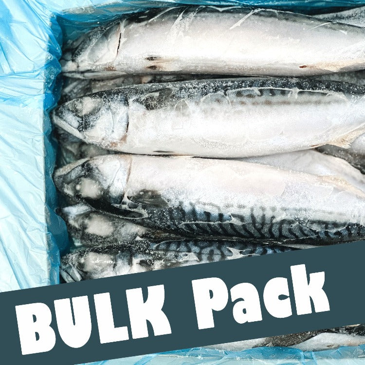 Mackerel-Whole (Bulk)