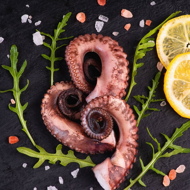 Octopus (Tako) Leg