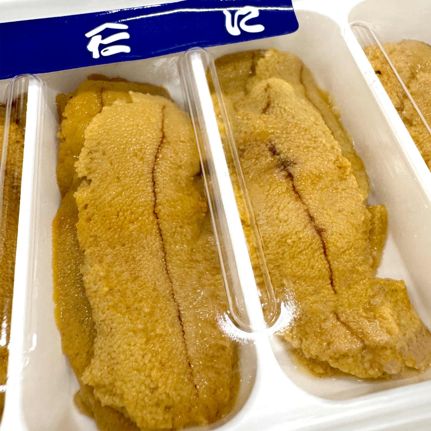FRESH Sea Urchin (Uni) 100g
