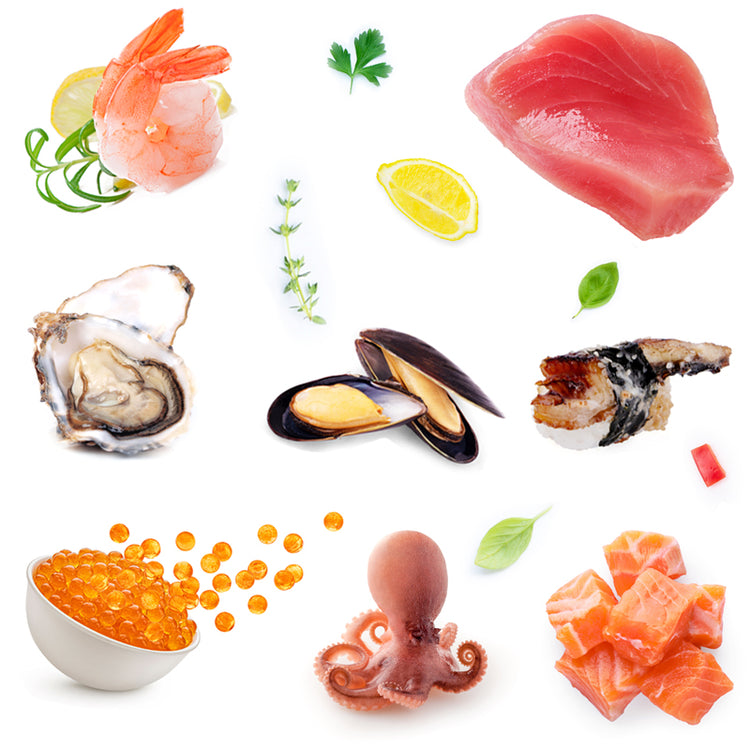 All Seafood