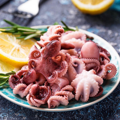 Octopus-Baby