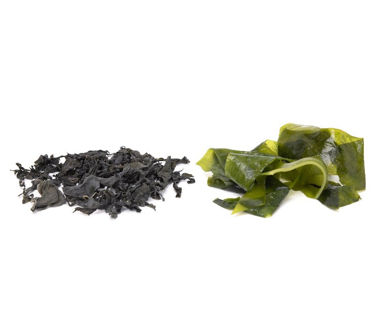 Two pieces of seaweed lying side by side on a surface