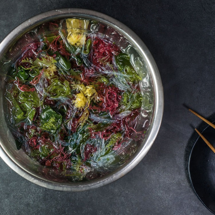 A bowl filled with red and green seaweed, creating a vibrant and colorful display of marine vegetation